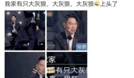 港星综艺爆料最新一期视频